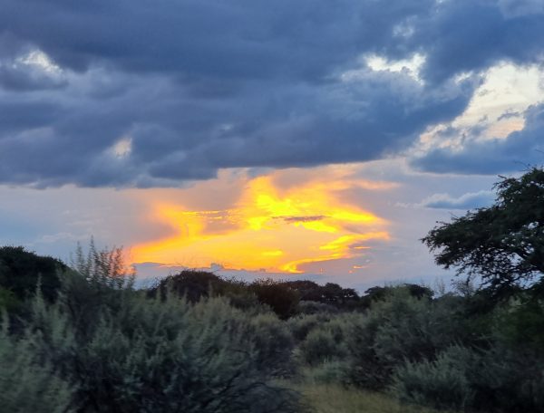 Infinite Safaris Africa - Safari Hunting in Africa - South Africa Base Camp - Farm Loskop