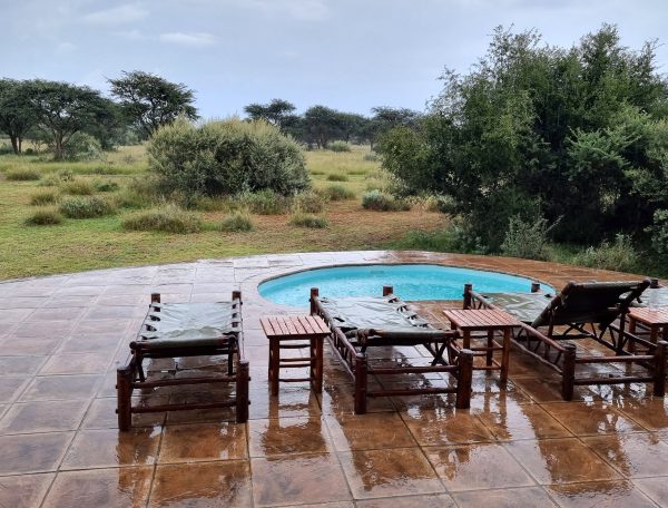 Infinite Safaris Africa - Safari Hunting in Africa - South Africa Base Camp - Farm Loskop