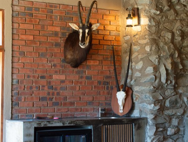 Infinite Safaris Africa - Safari Hunting in Africa - South Africa Base Camp - Farm Loskop