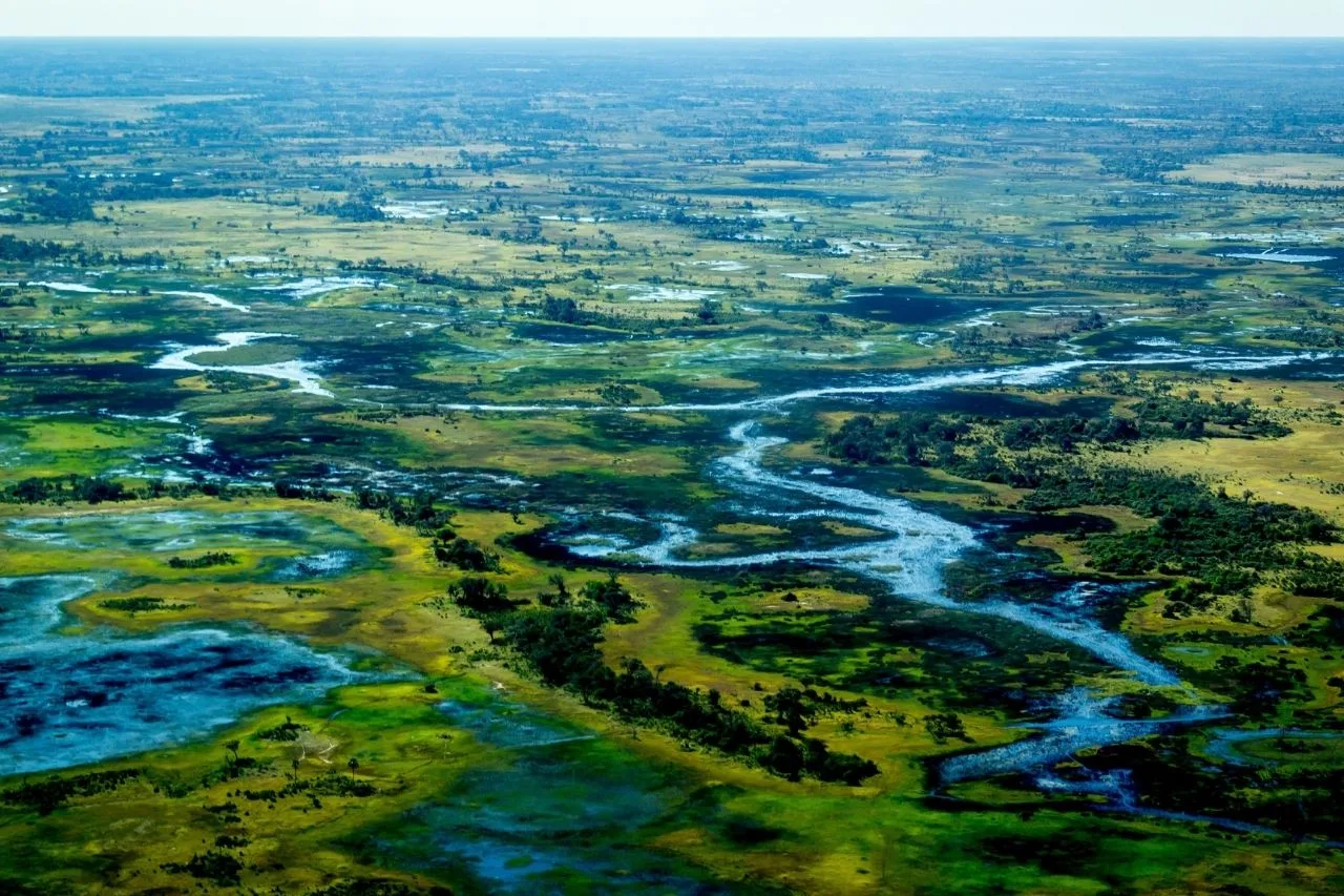 Okavango Delta