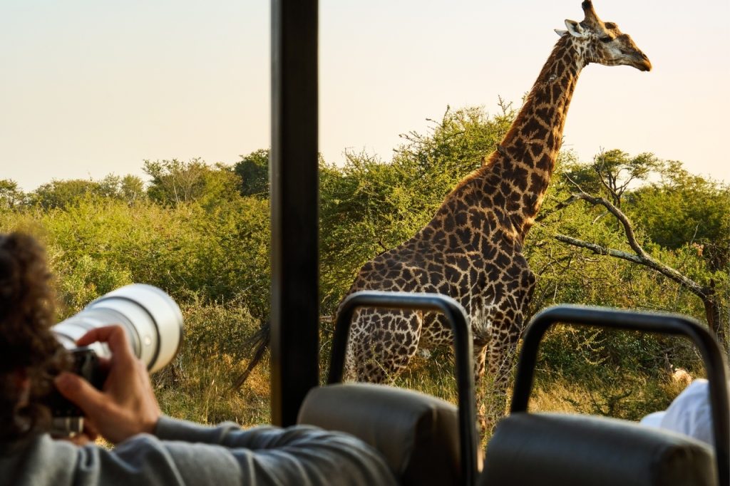 African photo safari