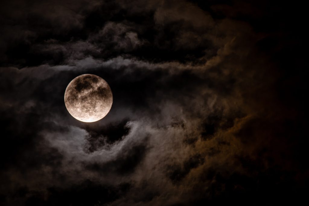 Best Time for African Safari (2026): Moon, Weather & Wildlife