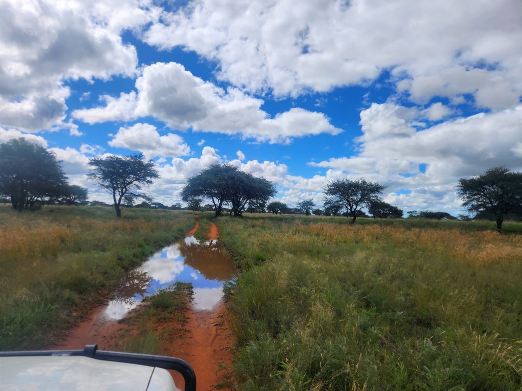 Wet field at Loskop Farm after heavy rains