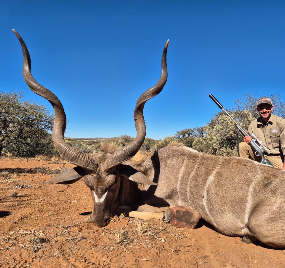 Kudu hunting